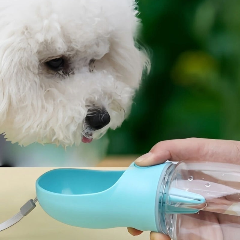 White dog looking at a blue pet water bottle held by a person with a green blurred background