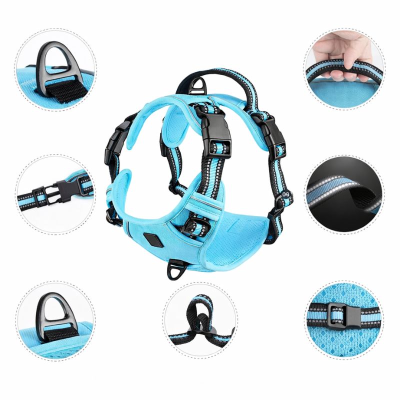 Blue dog harness with multiple views on a white background