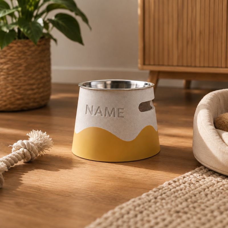 Personalised Raised Pet Bowl with Custom Name