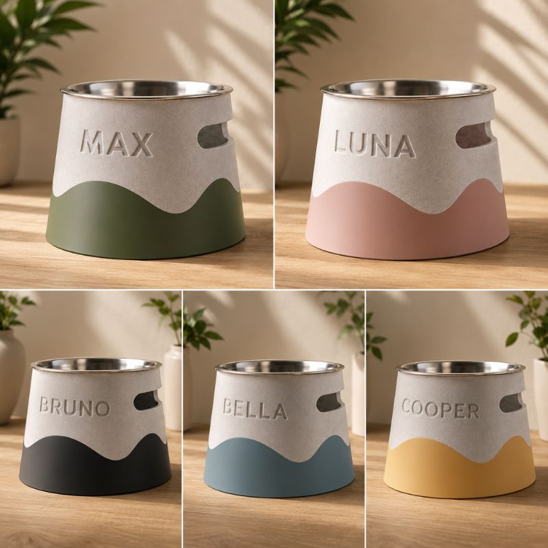 Personalised Raised Pet Bowl with Custom Name