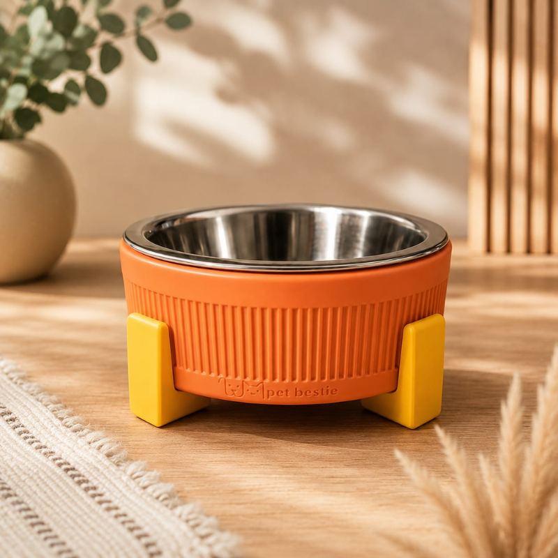 Custom Colour Raised Pet Bowl with Stainless Steel Insert