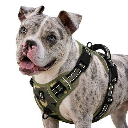 Dog wearing a green camouflage harness on a white background