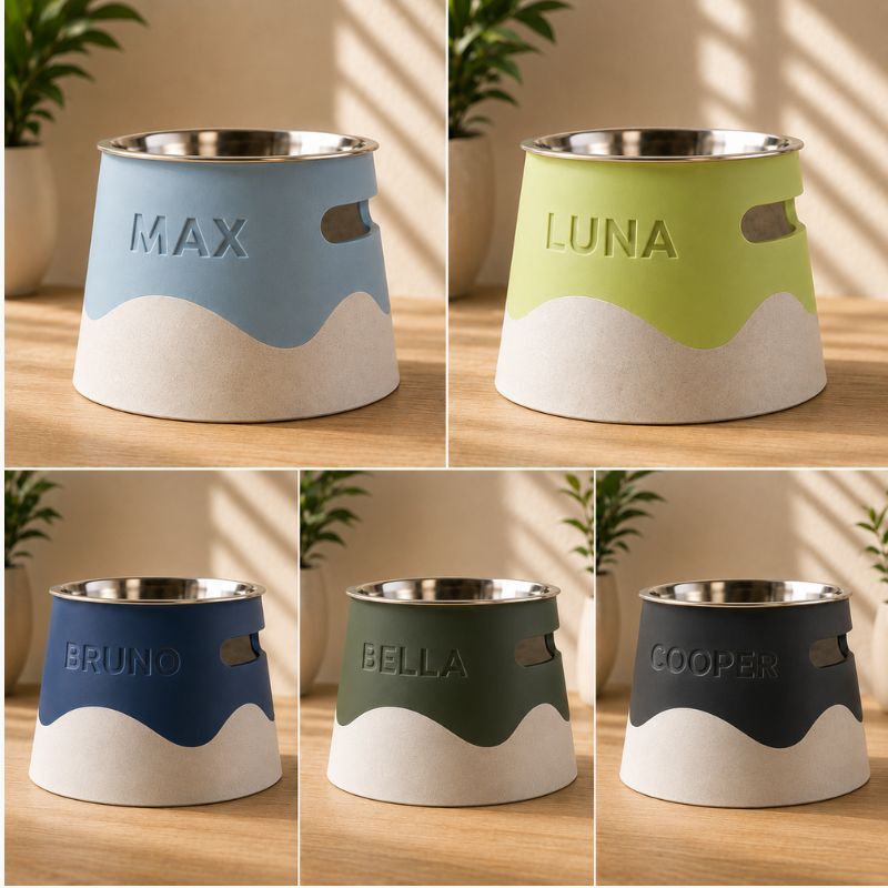 Personalised Raised Pet Bowl with Custom Name
