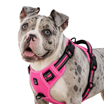 Dog wearing a pink harness on a white background