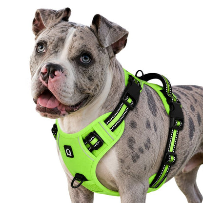 Dog wearing a bright green harness on a white background