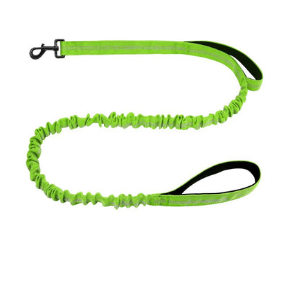 Bungee Dog Leash – Heavy Duty, Shock Absorbing and Dual Handle Control