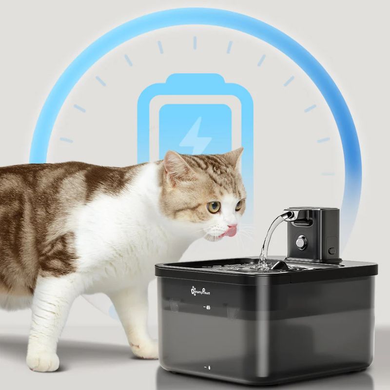 Cat standing next to a black pet water fountain with a blue energy bar graphic above it.
