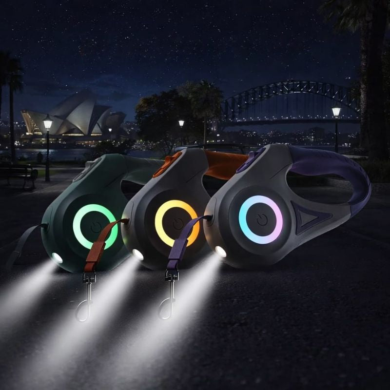 Three colorful LED light-up dog leashes on a dark street with a cityscape in the background.