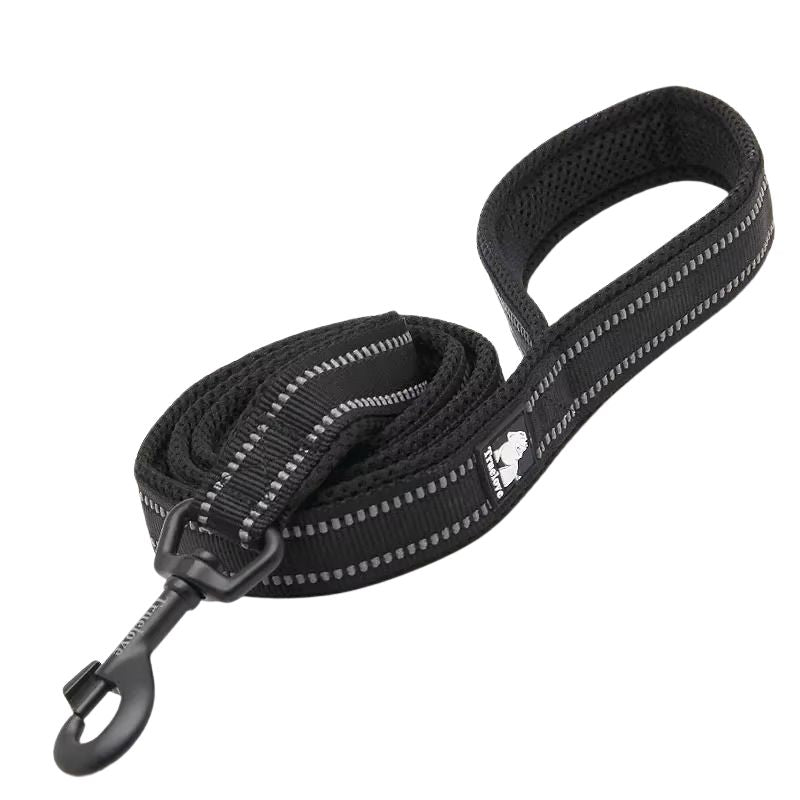 Black dog leash with reflective stripes on a white background