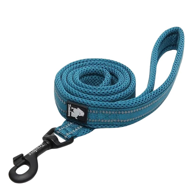Blue dog leash with a black clip on a white background