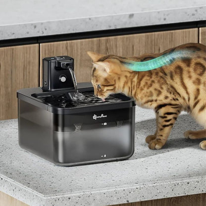 Cat drinking from a pet water fountain on a countertop.