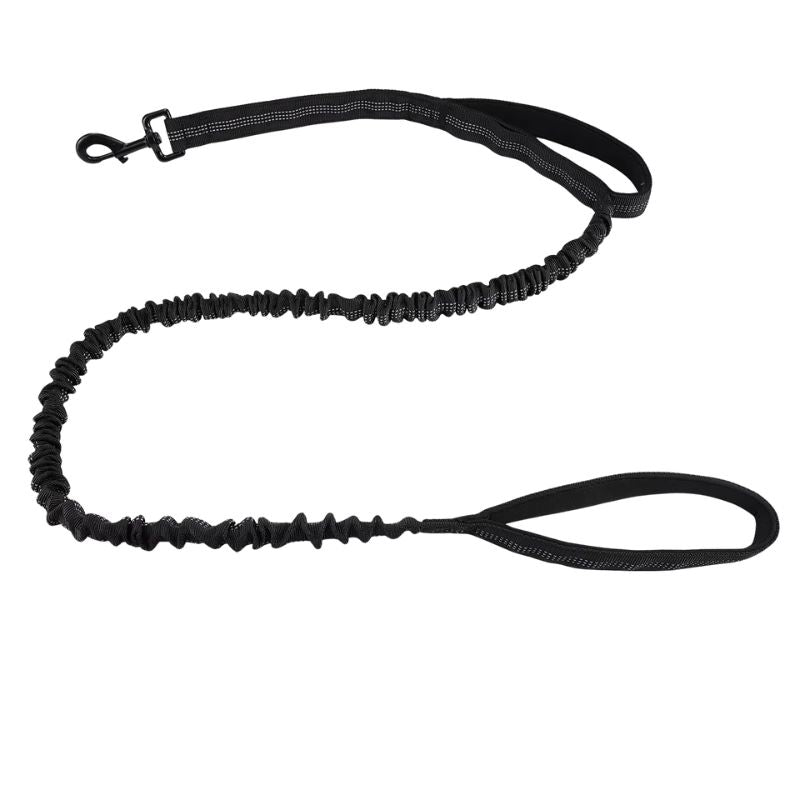 Black dog leash on a white background