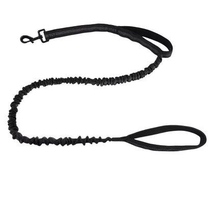 Black dog leash on a white background