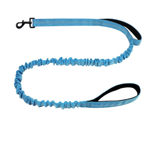 Blue dog leash with a black clip on a white background