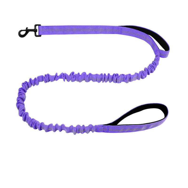 Purple dog leash with a black handle on a white background