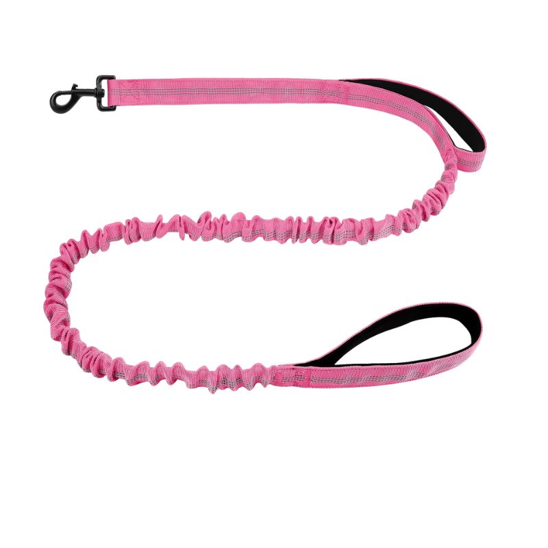 Pink dog leash with a black clip on a white background