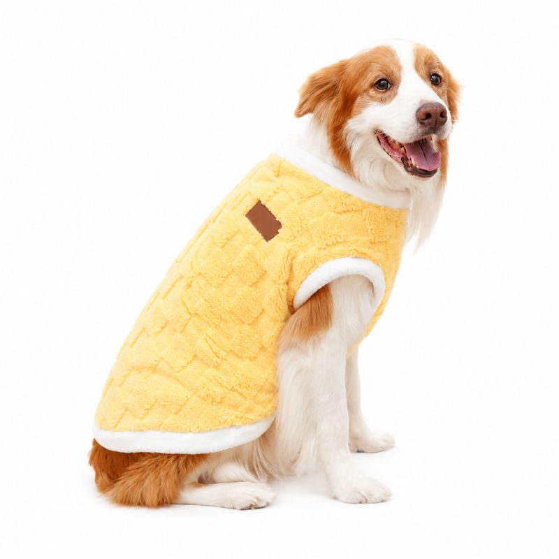 Dog wearing a yellow quilted coat with a brown patch on a white background