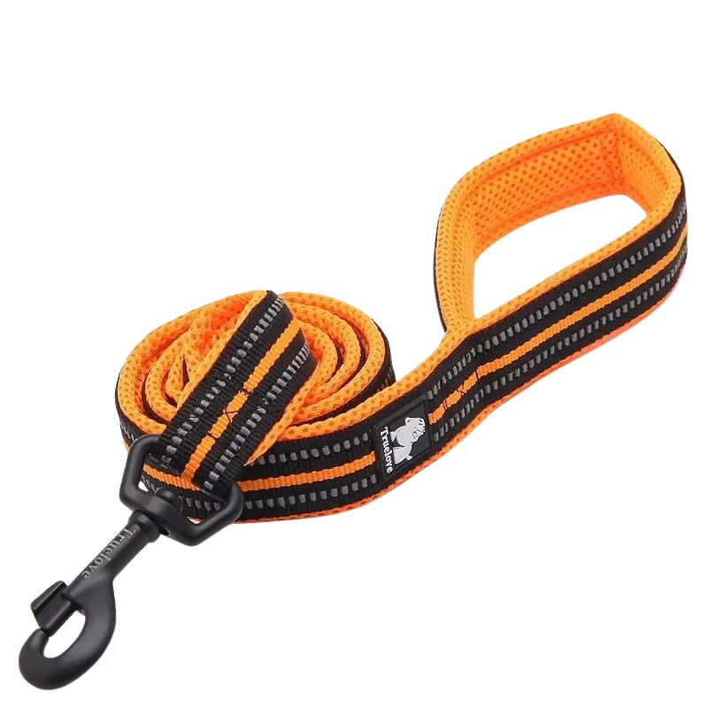 Orange dog leash with black accents on a white background