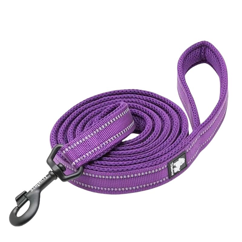 Purple dog leash with a black clip on a white background