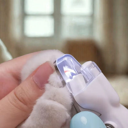 Small grooming tool being used on a pet's paw with a blurred indoor background