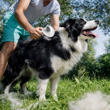 Dog grooming tool for short to medium coats