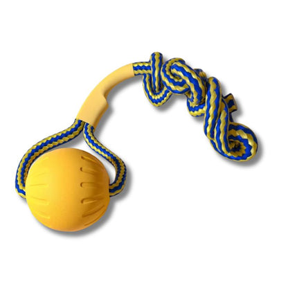 safe dog toys made for daily interaction on a white background