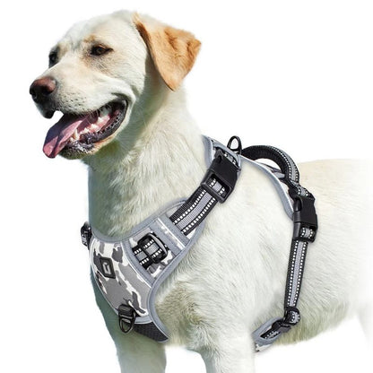 Dog wearing a gray camouflage harness on a white background