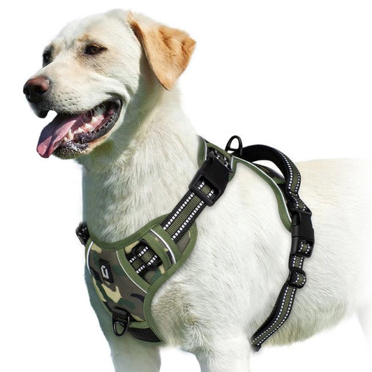 Dog wearing a green camouflage harness on a white background