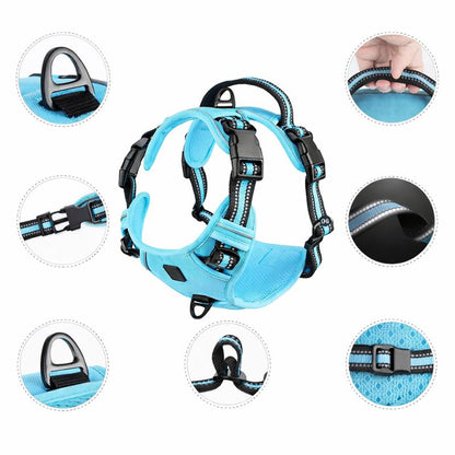 Blue dog harness with multiple views on a white background
