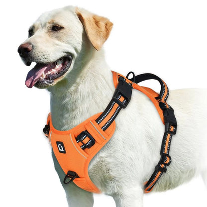 Dog wearing an orange harness on a white background