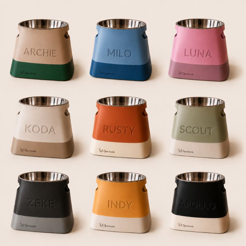 Set of colorful pet bowls with names engraved on a beige background