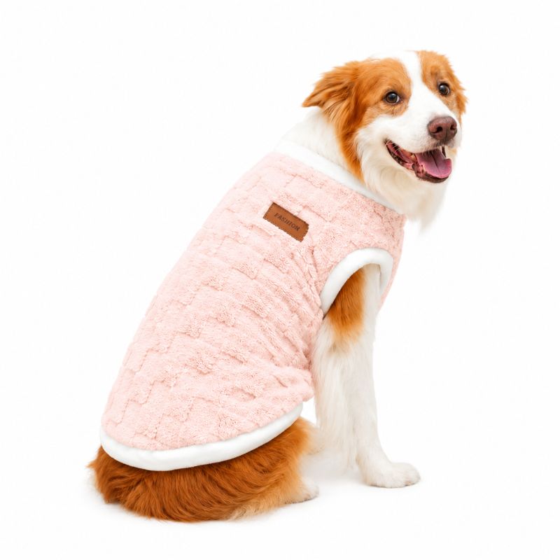 Dog wearing a pink quilted coat on a white background
