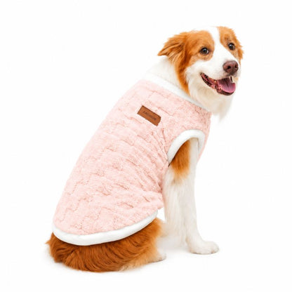 Dog wearing a pink quilted coat on a white background