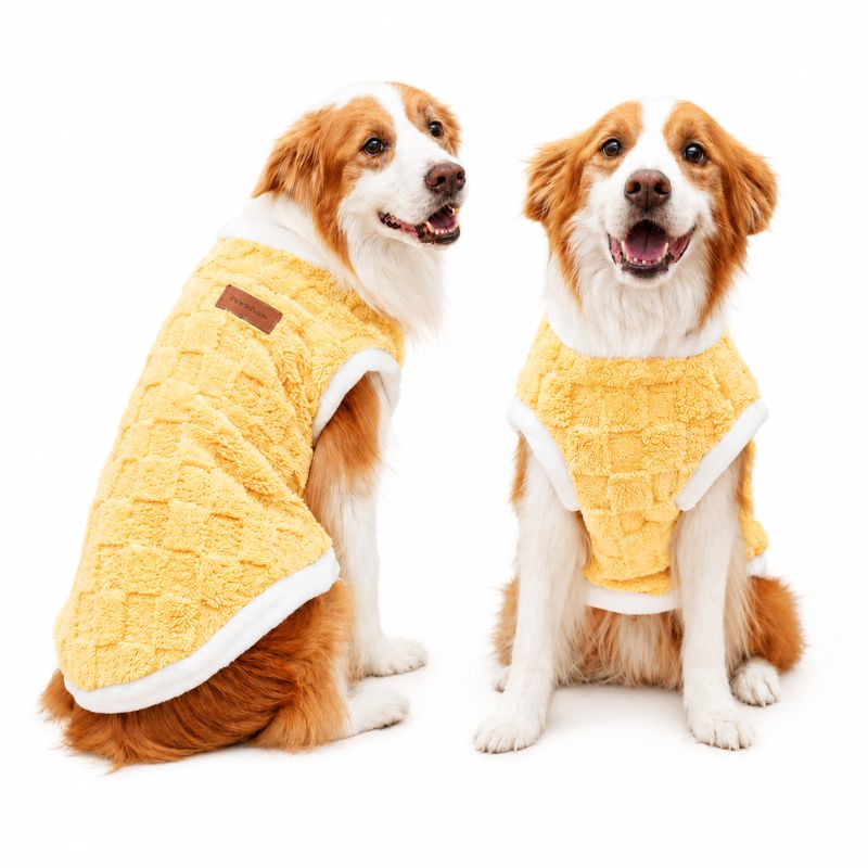 Two dogs wearing yellow robes on a white background