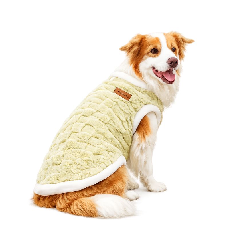 Dog wearing a green quilted coat with a white collar on a white background